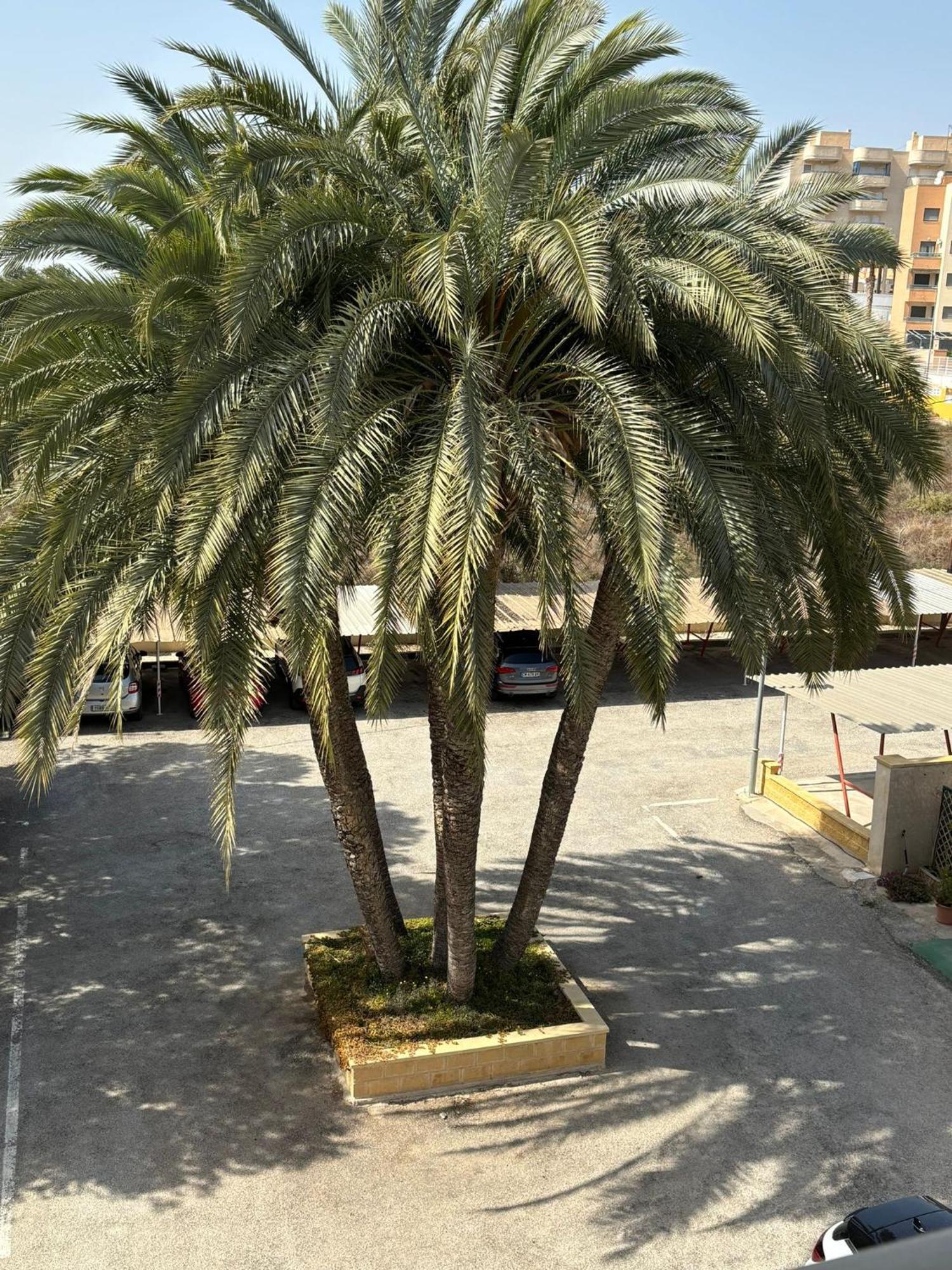 刚果公寓酒店 坎佩略 外观 照片